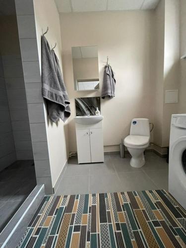 Brēžas apartamenti (Brezas apartamenti) in 瓦尔米耶 Brēžas apartamenti (Brezas apartamenti) in 瓦尔米耶