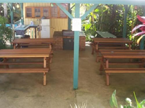 This photo about Tropic Oasis shared on HyHotel.com