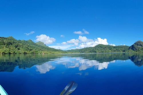 Pemandangan, RAIATEA, Opoa, Studio du Fare Rêvé, accès mer privatif (RAIATEA, Opoa, Studio du Fare Reve, acces mer privatif) in Opoa Pemandangan, RAIATEA, Opoa, Studio du Fare Rêvé, accès mer privatif (RAIATEA, Opoa, Studio du Fare Reve, acces mer privatif) in Opoa