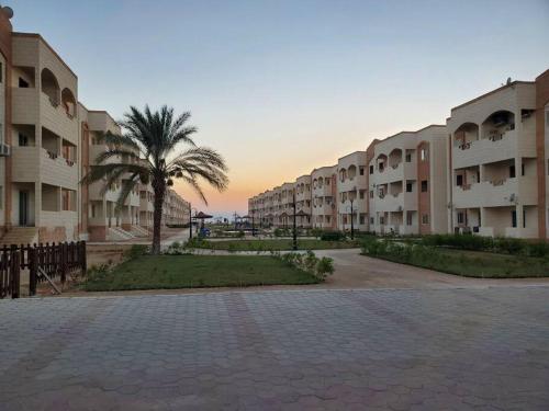 Blue lagoon 2 bed room apartment, AC for rent in ras sidr If you love calm this is for you 2 days mi in Ras Sedr Blue lagoon 2 bed room apartment, AC for rent in ras sidr If you love calm this is for you 2 days mi in Ras Sedr