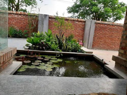 YJ Homes in Khulna YJ Homes in Khulna