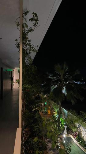 The Garden in Carcar City The Garden in Carcar City