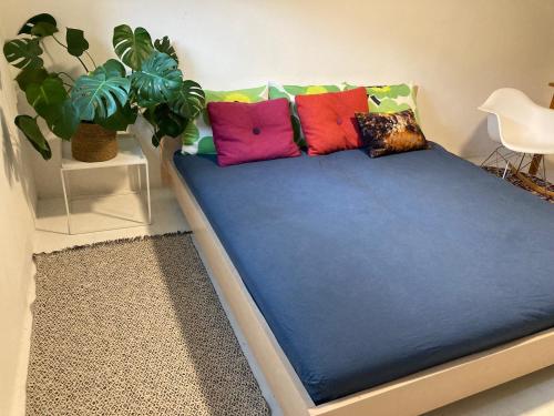 Private apartment in villa located in the central part of Odense in Odense M Private apartment in villa located in the central part of Odense in Odense M