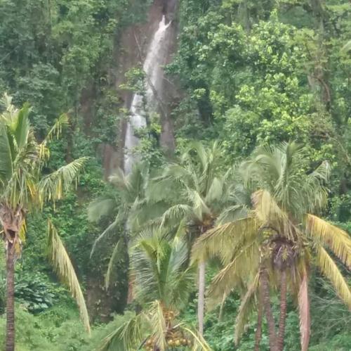 Berkey's Jungle Paradise Resort in Saint George Berkey's Jungle Paradise Resort in Saint George