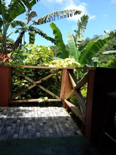 Berkey's Jungle Paradise Resort in Saint George Berkey's Jungle Paradise Resort in Saint George