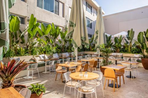 ห้องอาหาร, Oxford House in แพดดิงตัน ห้องอาหาร, Oxford House in แพดดิงตัน