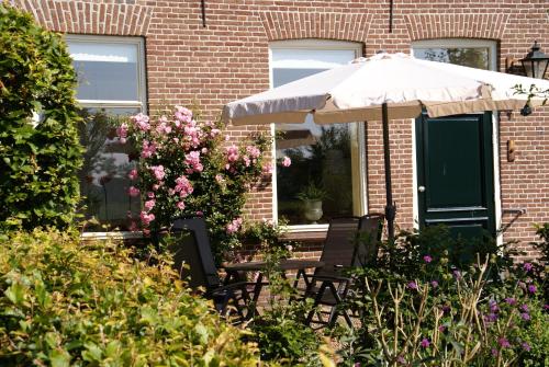 Garden, Vakantiewoning Opa's Huisje in Ruinerwold Garden, Vakantiewoning Opa's Huisje in Ruinerwold