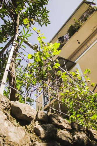 SeaView Zelenika in Zelenika SeaView Zelenika in Zelenika