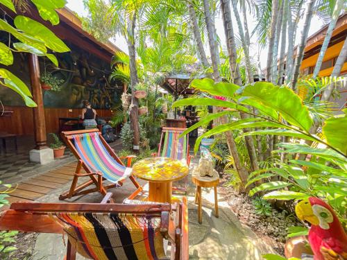 정원, Oasis Hostel in 그라나다 정원, Oasis Hostel in 그라나다