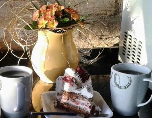 Dublin in Rocha Dublin in Rocha