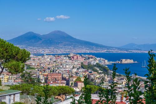 Romantic Place with Pines, Cats, Stunning View and Parking