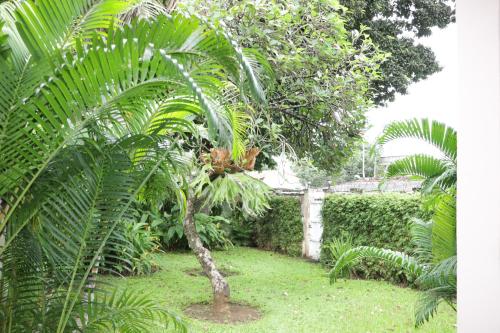Jardín, Industria Villa in Malabo Jardín, Industria Villa in Malabo