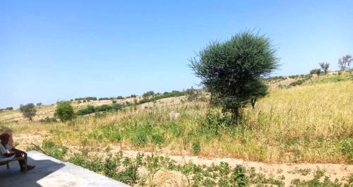 景色, Madhu Singh Dhani Home Stay -Ridmalsar in キムサール 景色, Madhu Singh Dhani Home Stay -Ridmalsar in キムサール