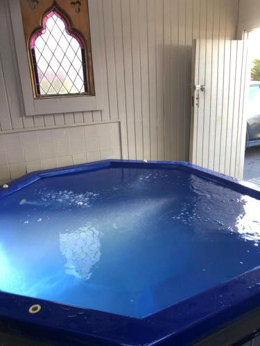 Alpine Motel & Backpackers