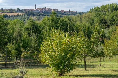 Kert, Agriturismo La valle in Peccioli Kert, Agriturismo La valle in Peccioli