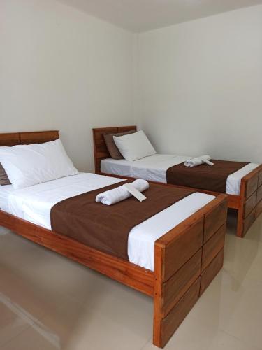 Coco Bloom in Aborlan Coco Bloom in Aborlan