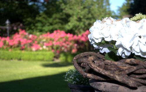 This photo about Ferienwohnung Allegra shared on HyHotel.com