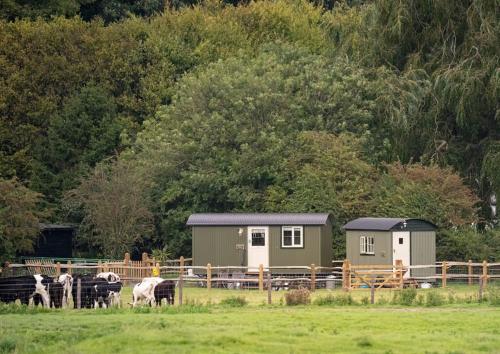 Shepherds Huts Tansy & Ethel in rural Sussex in Arundel Shepherds Huts Tansy & Ethel in rural Sussex in Arundel