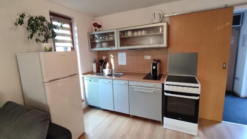 廚房, Rodinný Apartmán Adléta (Rodinny Apartman Adleta) in 上貝奇瓦 廚房, Rodinný Apartmán Adléta (Rodinny Apartman Adleta) in 上貝奇瓦