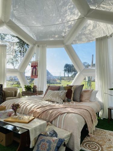 Coonawarra Hampton Bubble 3 in คูนาวารร่า Coonawarra Hampton Bubble 3 in คูนาวารร่า