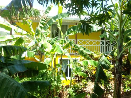 Posada Hostel Adri in Providencia Posada Hostel Adri in Providencia