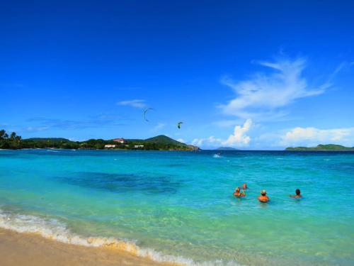 Αθλήματα και δραστηριότητες, Brand New Luxury Private Pool Villa Quartz - 5 mins walk to #Sapphire Beach in Red Hook Αθλήματα και δραστηριότητες, Brand New Luxury Private Pool Villa Quartz - 5 mins walk to #Sapphire Beach in Red Hook