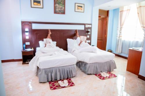 فندق جرين ماونتن (Green Mountain Hotel) in اروشا فندق جرين ماونتن (Green Mountain Hotel) in اروشا