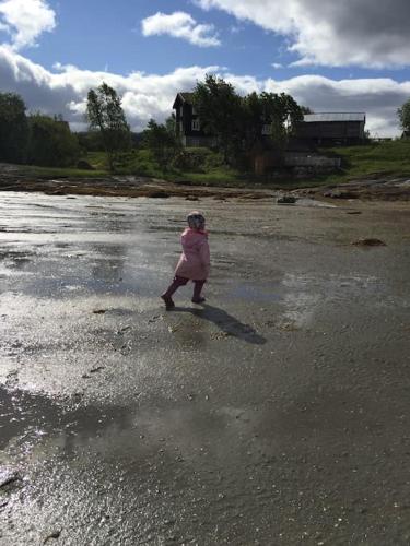 Hyggelig lite bosted ved sjøen, nær sentrum i Valnesfjord in ฟันส์กะ Hyggelig lite bosted ved sjøen, nær sentrum i Valnesfjord in ฟันส์กะ