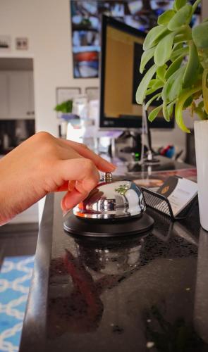 Lobby, Hotel StayHome in Playa Hermosa Lobby, Hotel StayHome in Playa Hermosa
