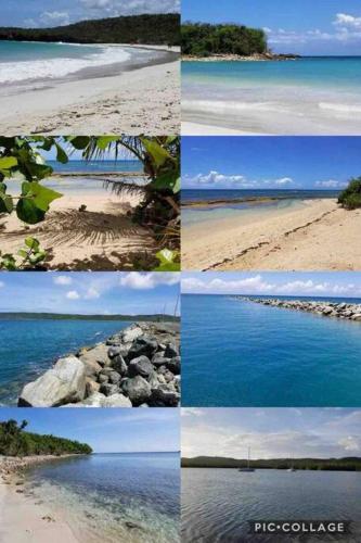 Vieques Rústic Vacational House (Vieques Rustic Vacational House) in Vieques Vieques Rústic Vacational House (Vieques Rustic Vacational House) in Vieques