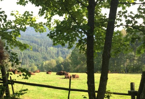 Roubenka U Andělů, Šumava (Roubenka U Andelu, Sumava) in קספרסקההורי Roubenka U Andělů, Šumava (Roubenka U Andelu, Sumava) in קספרסקההורי