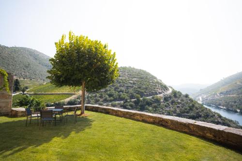 Kilátás, Quinta Dona Matilde in Lamego Kilátás, Quinta Dona Matilde in Lamego