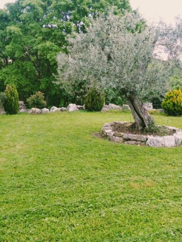 Residence San Martino in Colle d' Anchise Residence San Martino in Colle d' Anchise