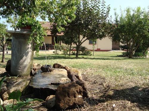 La tenuta Jucci in Sezze La tenuta Jucci in Sezze