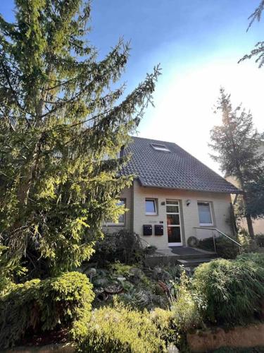Zentral und ruhig gelegen mit Einbauküche & Balkon (Zentral und ruhig gelegen mit Einbaukuche & Balkon) in Nordstadt Zentral und ruhig gelegen mit Einbauküche & Balkon (Zentral und ruhig gelegen mit Einbaukuche & Balkon) in Nordstadt