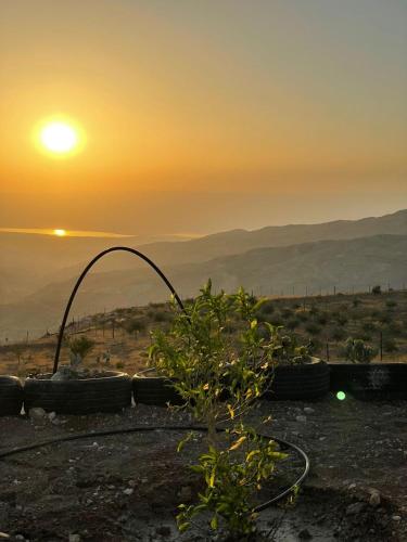 مزرعة الشفق in Kerak مزرعة الشفق in Kerak
