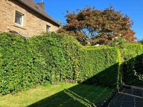 Aussicht, Ferienwohnung im Grünen EG mit Terrasse (Ferienwohnung im Grunen EG mit Terrasse) in Herdecke Aussicht, Ferienwohnung im Grünen EG mit Terrasse (Ferienwohnung im Grunen EG mit Terrasse) in Herdecke