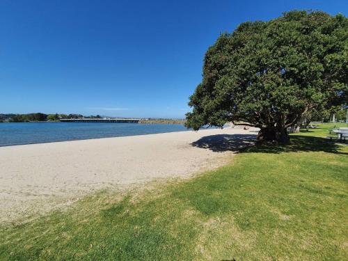 Tauranga - Big, beautiful Villa on the water! in Tauranga Tauranga - Big, beautiful Villa on the water! in Tauranga