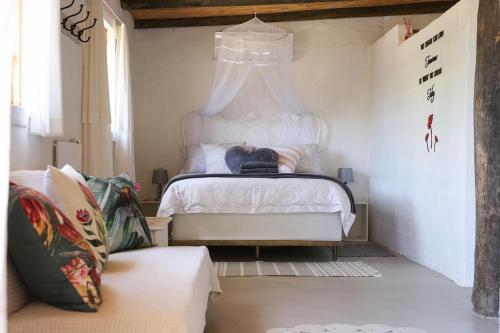 Karoo Feels in Princas Albertas Karoo Feels in Princas Albertas