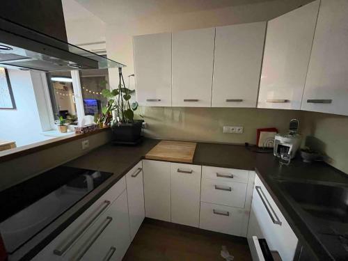 Kitchen, Moderni dum s bazenem a saunou, Zdarske vrchy in Sázava (Vysocina) Kitchen, Moderni dum s bazenem a saunou, Zdarske vrchy in Sázava (Vysocina)
