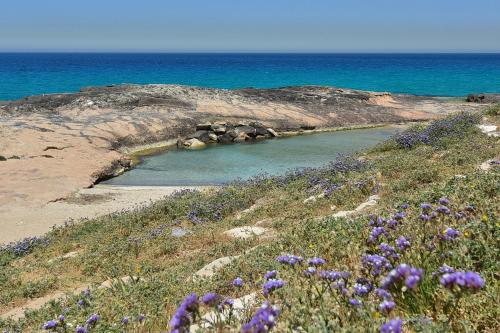 Surrounding environment, Beachfront Sea View Dream Escape in Nahariya Surrounding environment, Beachfront Sea View Dream Escape in Nahariya