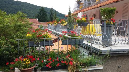 Faciliteiten, Haus Marija M in Badenweiler Faciliteiten, Haus Marija M in Badenweiler