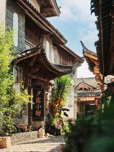 Buitenkant, 夕露小榭古城南门店 Xilu Xiaoxie Inn Old Town Lijiang in Lijiang Buitenkant, 夕露小榭古城南门店 Xilu Xiaoxie Inn Old Town Lijiang in Lijiang