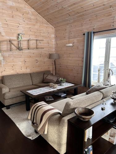 Спільний лаунж/ТБ зона, Saballie - Cosy cabin - sunny location! in Ustaoset Спільний лаунж/ТБ зона, Saballie - Cosy cabin - sunny location! in Ustaoset