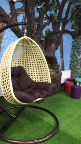 Delfin Hotel & Restaurants & Spa in Ganja Delfin Hotel & Restaurants & Spa in Ganja