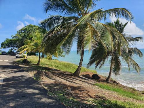 Bungalow vacances in Sainte Rose Bungalow vacances in Sainte Rose