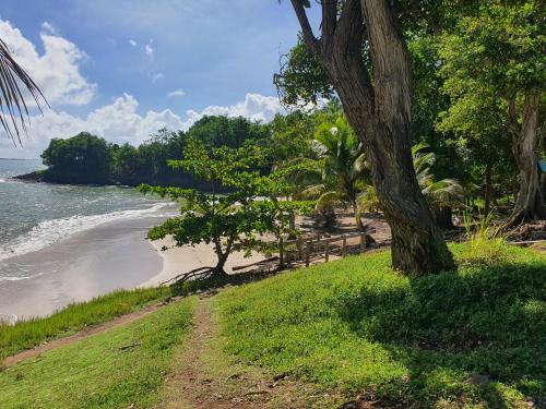 Beach, Bungalow vacances in Sainte Rose Beach, Bungalow vacances in Sainte Rose