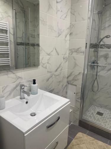 Shower, Home chic et renove in Avenue de la Liberation Shower, Home chic et renove in Avenue de la Liberation