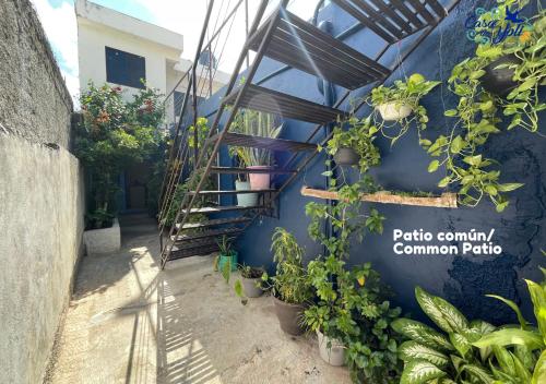 Kert, Casa de Yoli in Cozumel Kert, Casa de Yoli in Cozumel