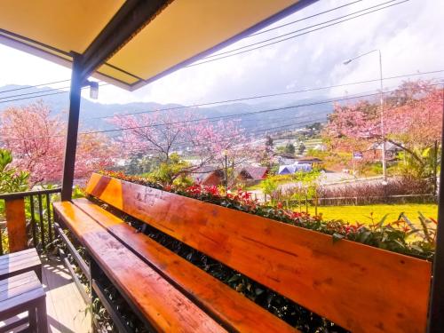 ฟินอินดอย in Doi Inthanon ฟินอินดอย in Doi Inthanon